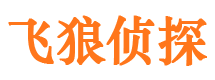 内乡市私家侦探